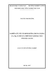 Luận án Nghiên cứu yếu tố dinh dưỡng trung lượng (ca, mg, s) cho lúa trên đất xám bạc màu tỉnh Bắc Giang