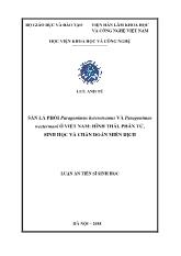 Luận án Sán lá phổi paragonimus heterotremus và paragonimus westermani ở Việt Nam: Hình thái, phân tử, sinh học và chẩn đoán miễn dịch