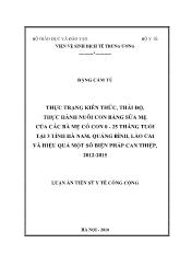 Luận án Thực trạng kiến thức, thái độ, thực hành nuôi con bằng sữa mẹ của các bà mẹ có con 0 - 25 tháng tuổi tại 3 tỉnh Hà nam, Quảng bình, Lào cai