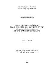 Luận án Thực trạng và giải pháp nâng cao hiệu quả sản xuất cá tra (pangasianodon hypophthalmus) ở đồng bằng sông Cửu Long