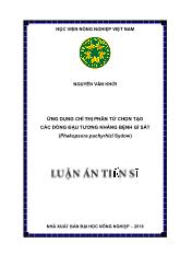 Luận án Ứng dụng chỉ thị phân tử chọn tạo các dòng đậu tương kháng bệnh gỉ sắt (phakopsora pachyrhizi sydow)