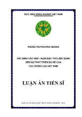 Luận án Xác định các gen - alen đặc thù liên quan đến sự phát triển bộ rễ của các giống lúa Việt Nam