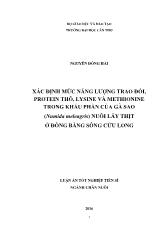 Luận án Xác định mức năng lượng trao đổi, protein thô, lysine và methionine trong khẩu phần của gà sao (numida meleagris) nuôi lấy thịt ở đồng bằng sông Cửu Long