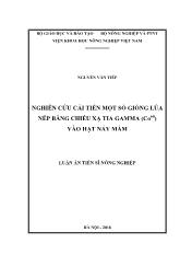 Nghiên cứu cải tiến một số giống lúa nếp bằng chiếu xạ tia gamma (CO60) vào hạt nảy mầm