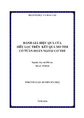 Tóm tắt Luận án Đánh giá hiệu quả của siêu lọc trên kết quả mổ tim có tuần hoàn ngoài cơ thể