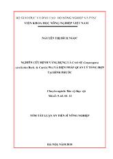 Tóm tắt Luận án Nghiên cứu bệnh vàng rụng lá cao su corynespora cassiicola (berk. & curtis) wei và biện pháp quản lý tổng hợp tại Bình Phước