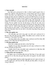 Tóm tắt Luận án Nghiên cứu công nghệ sản xuất canxi cacbonat từ vỏ hầu để làm phụ gia thực phẩm