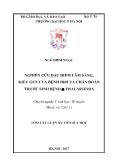 Tóm tắt Luận án Nghiên cứu đặc điểm lâm sàng, kiểu gen của bệnh HBH và chẩn đoán trước sinh bệnh α Thalassemia