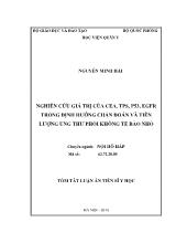 Tóm tắt Luận án Nghiên cứu giá trị của CEA, TPS, P53, EGFR trong định hướng chẩn đoán và tiên lượng ung thư phổi không tế bào nhỏ