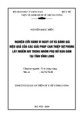 Tóm tắt Luận án Nghiên cứu hành vi nguy cơ và đánh giá hiệu quả của các giải pháp can thiệp dự phòng lây nhiễm HIV trong nhóm phụ nữ bán dâm tại tỉnh Vĩnh Long