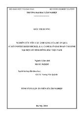 Tóm tắt Luận án Nghiên cứu yêu cầu ánh sáng của dẻ ăn quả (castanopsis boisii hickel & a. camus) ở giai đoạn tái sinh tại một số tỉnh đông bắc Việt Nam