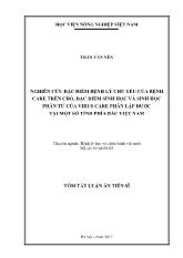 Tóm tắt Nghiên cứu đặc điểm bệnh lý chủ yếu của bệnh care trên chó, đặc điểm sinh học và sinh học phân tử của virus care phân lập được tại một số tỉnh phía bắc Việt Nam