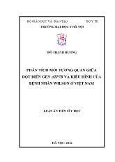 Luận án Phân tích mối tương quan giữa đột biến gen ATP7B và kiểu hình của bệnh nhân Wilson ở Việt Nam