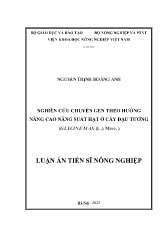 Luận án Nghiên cứu chuyển gen theo hướng nâng cao năng suất hạt ở cây đậu tương (glycine max (L.) merr.)