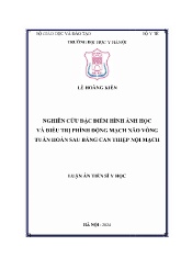 Luận án Nghiên cứu đặc điểm hình ảnh học và điều trị phình động mạch não vòng tuần hoàn sau bằng can thiệp nội mạch