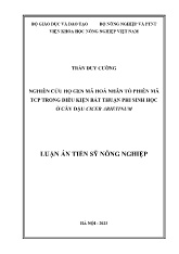 Luận án Nghiên cứu họ gen mã hoá nhân tố phiên mã TCP trong điều kiện bất thuận phi sinh học ở cây đậu cicer arietinum