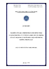 Luận án Nghiên cứu quá trình phát sinh hình thái và sinh trưởng in vitro của một số cây trồng có giá trị kinh tế dưới điều kiện mô phỏng không trọng lực