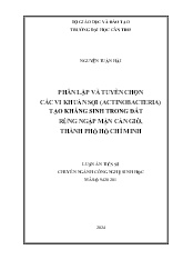 Luận án Phân lập và tuyển chọn các vi khuẩn sợi (actinobacteria) tạo kháng sinh trong đất rừng ngập mặn Cần Giờ, Thành phố Hồ Chí Minh