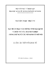 Luận án Bất hoàn hảo tài chính, tính bất định và đầu tư của doanh nghiệp – bằng chứng từ các nền kinh tế mới nổi