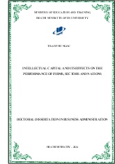 Thesis Intellectual capital and its effects on the performance of firms, sectors and nations